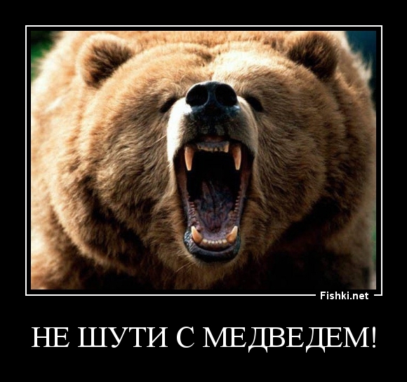 не шути с медведем!