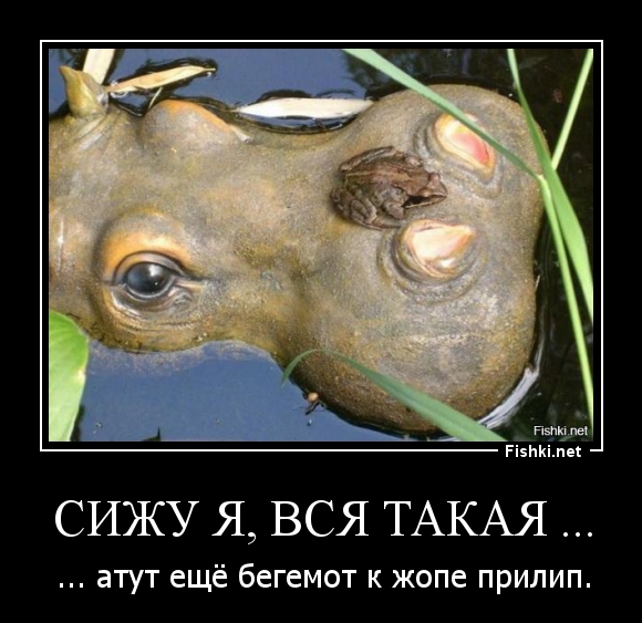 Сижу я, вся такая ...