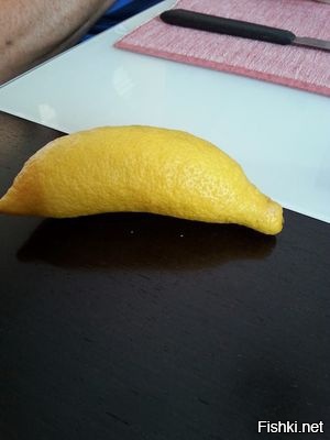 Из солянки