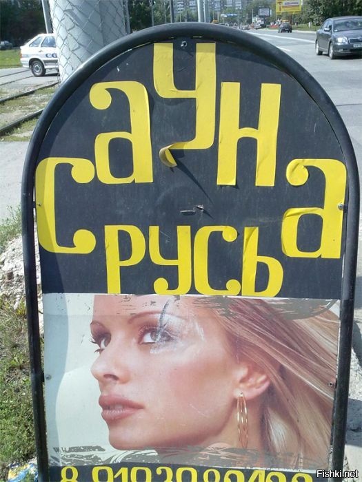 Из солянки