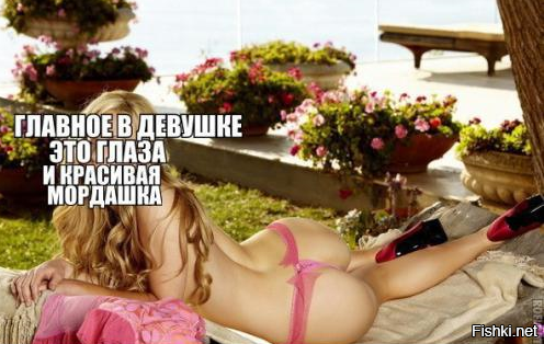 Из солянки