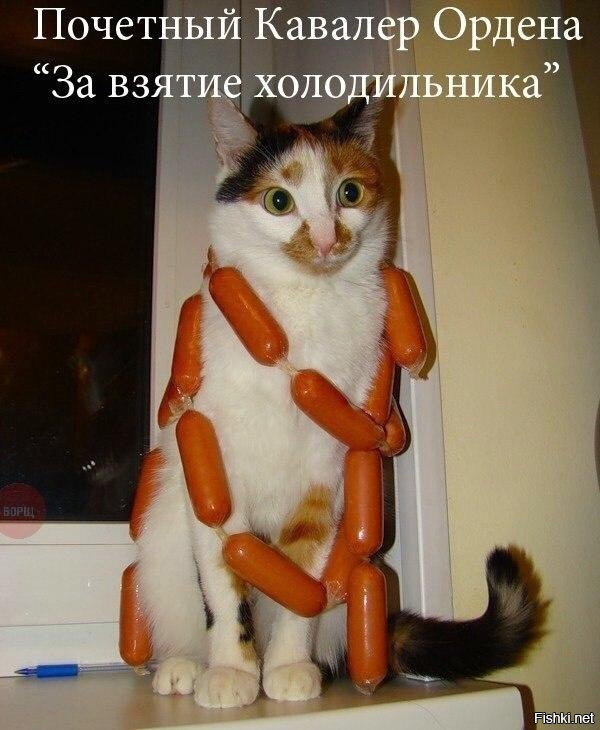 Из солянки
