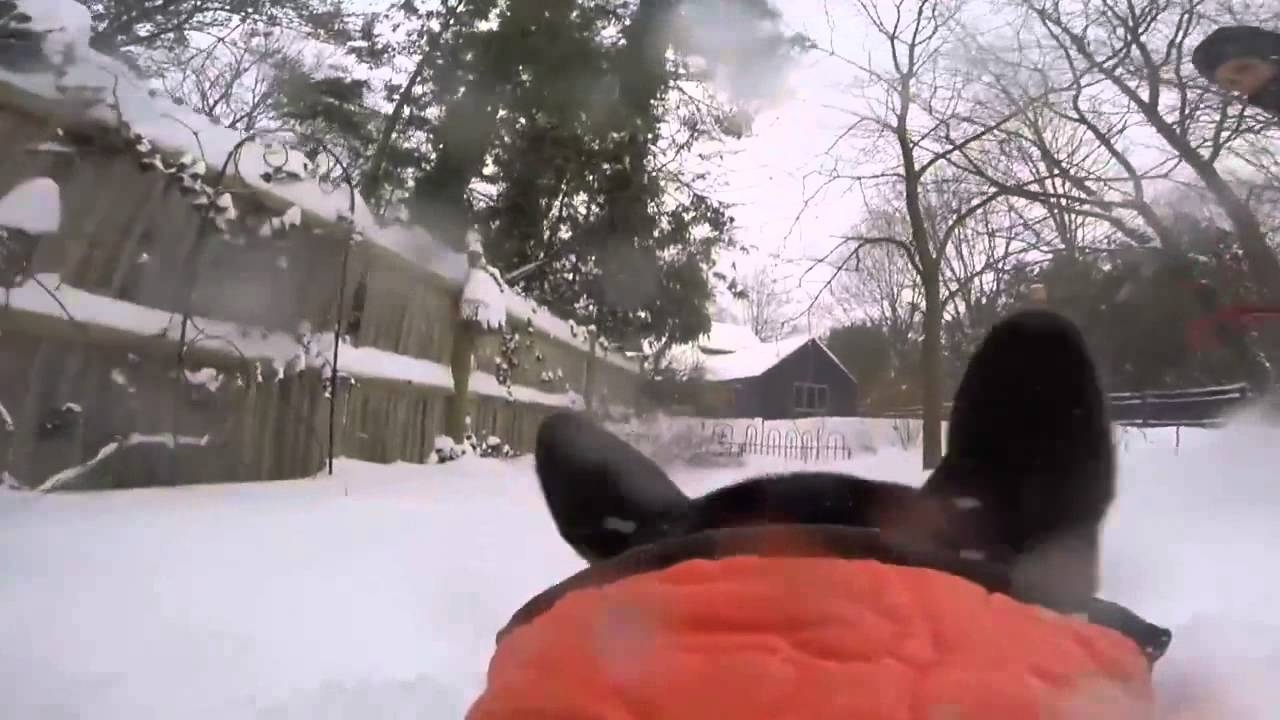 Прогулка собаки в снежный день - от первого лица