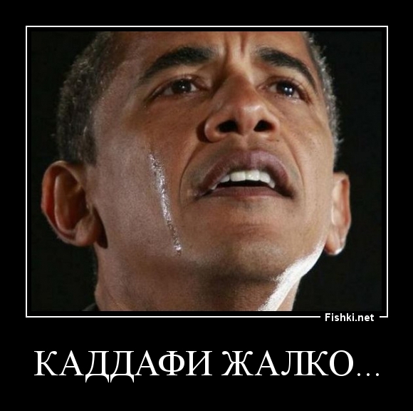 КАДДАФИ ЖАЛКО...
