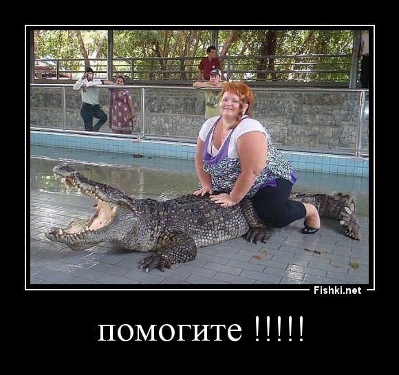 помогите !!!!!