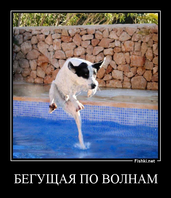 бегущая по волнам