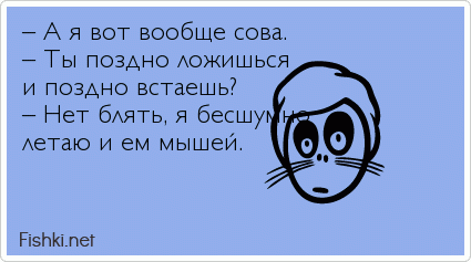 – А я вот вообще сова. – Ты поздно ложишься и поздно встаешь? – Нет блять, я бесшумно летаю и ем мышей.