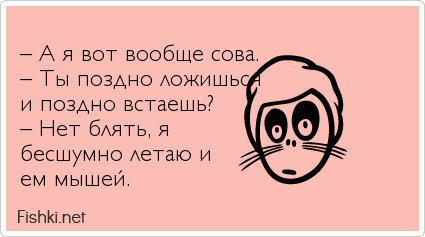  – А я вот вообще сова. – Ты поздно ложишься и поздно встаешь? – Нет блять, я бесшумно летаю и ем мышей.