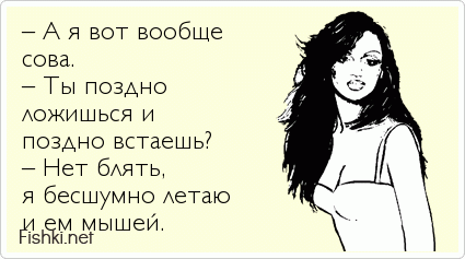 – А я вот вообще сова. – Ты поздно ложишься и поздно встаешь? – Нет блять, я бесшумно летаю и ем мышей.