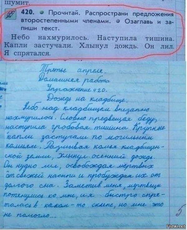 Из солянки