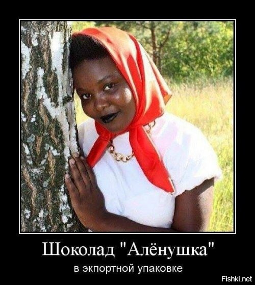 Из солянки