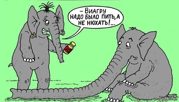 Из солянки