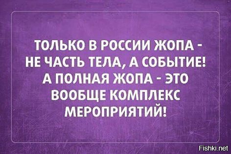 Из солянки