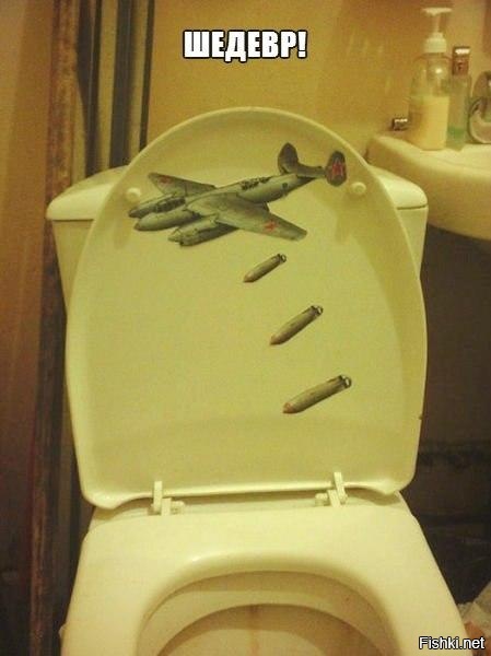 Из солянки