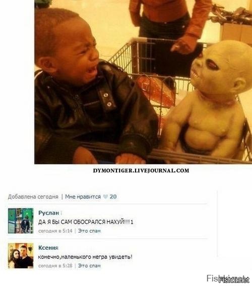 Из солянки
