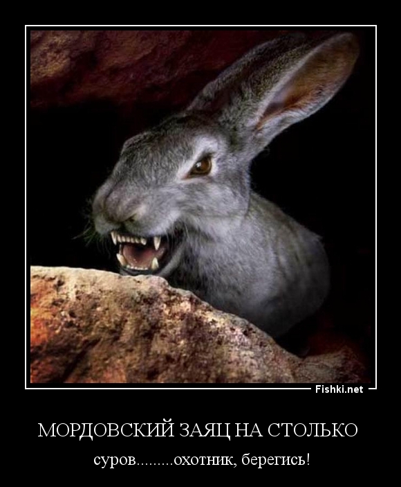 Мордовский заяц на столько 