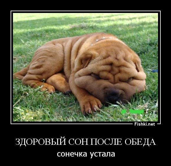 Здоровый сон после обеда