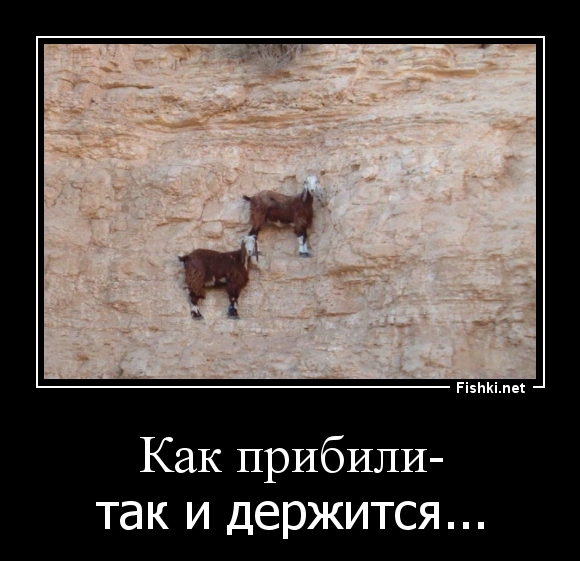 Как прибили-