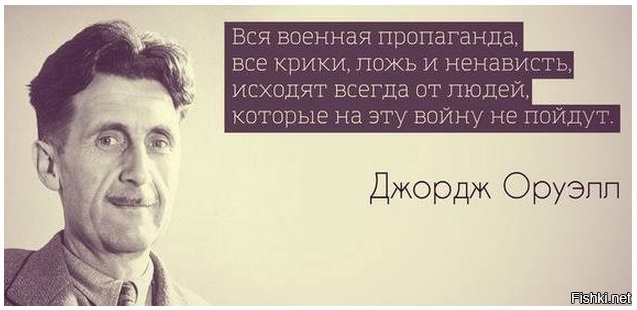 Из солянки