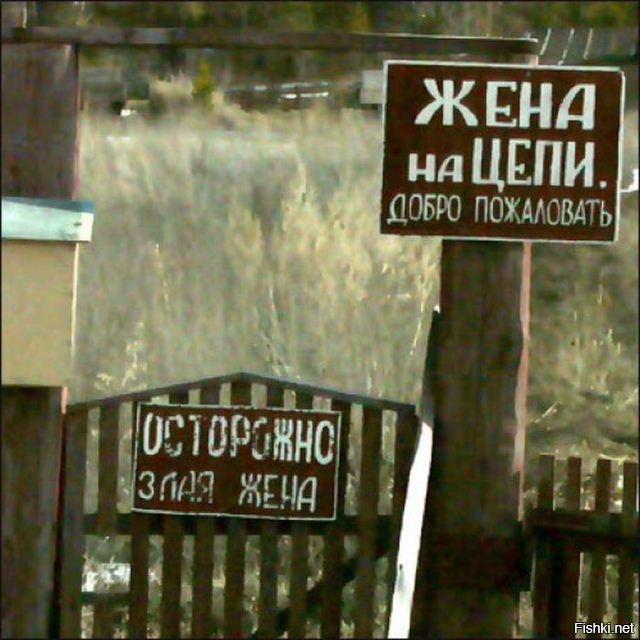 Из солянки