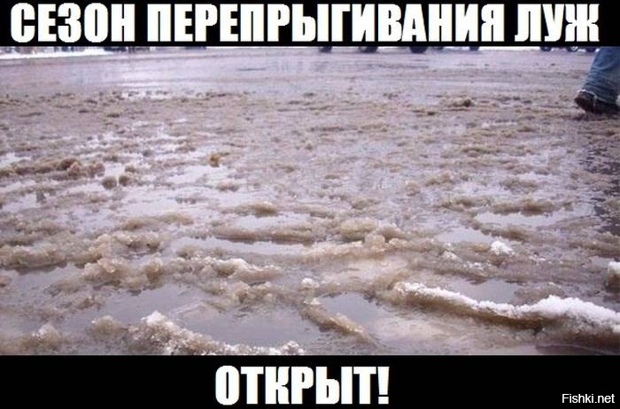 Из солянки