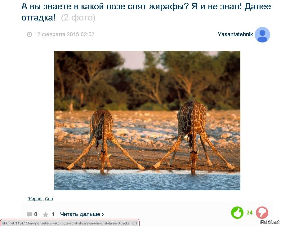 А счастье было так возможно