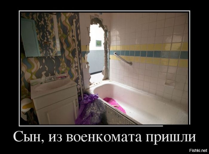 Из солянки