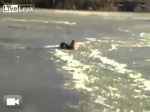 &quot;Парень пробился через лед, чтобы спасти собаку&quot;
