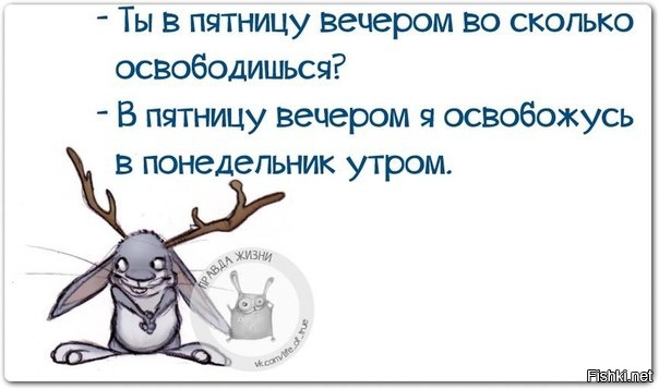 Из солянки