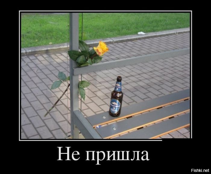 Из солянки