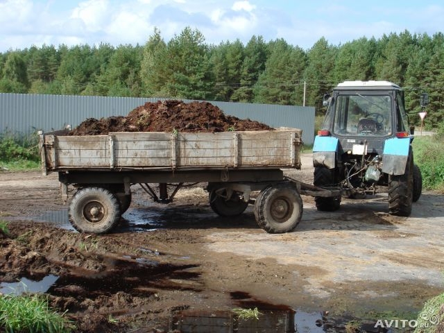 Сибирский фермер высыпал телегу с навозом перед Сбербанком