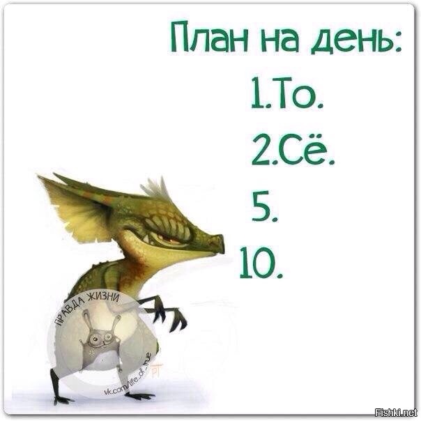 Из солянки