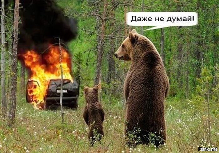 Из солянки