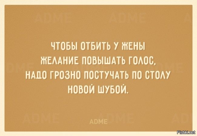 Из солянки