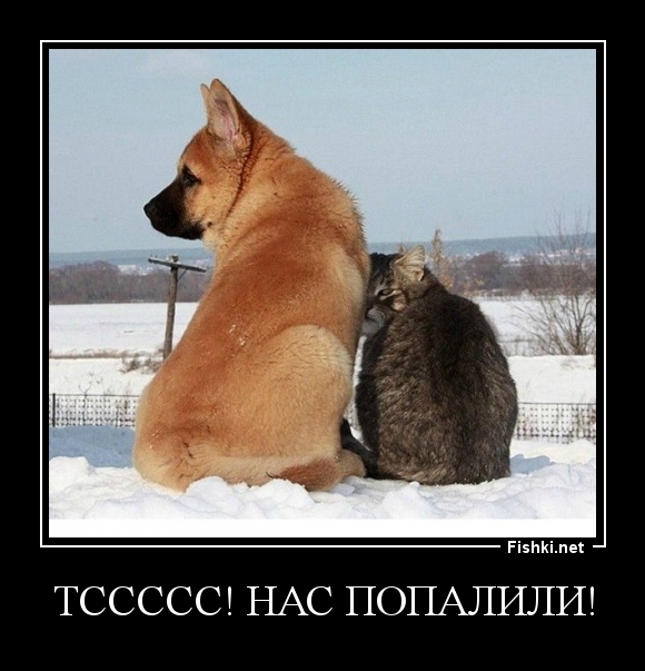 Тссссс! Нас попалили!