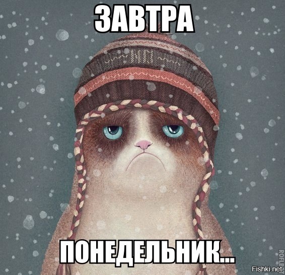 Из солянки