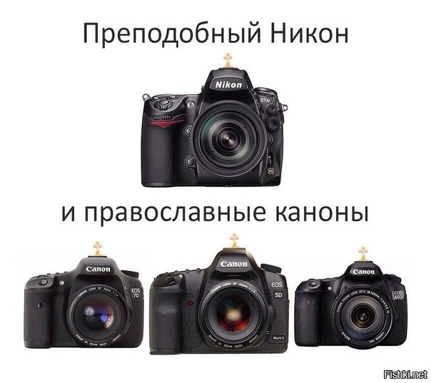 Из солянки