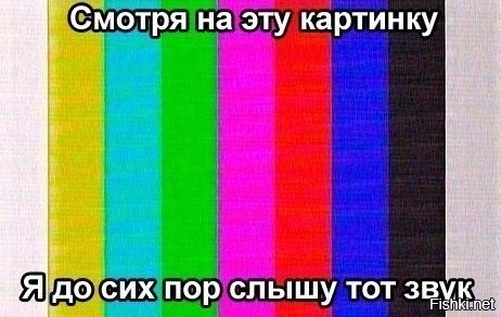 Из солянки