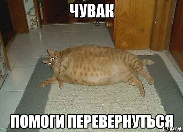 Из солянки