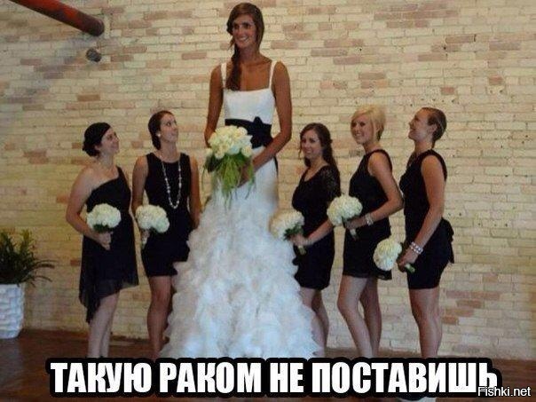 Из солянки