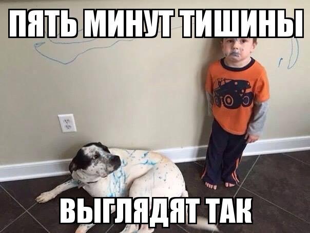 Из солянки