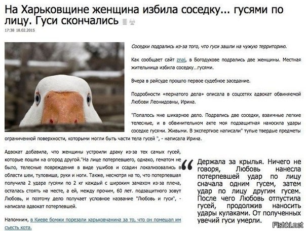 Из солянки