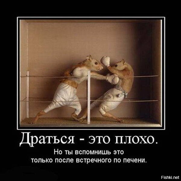 Из солянки