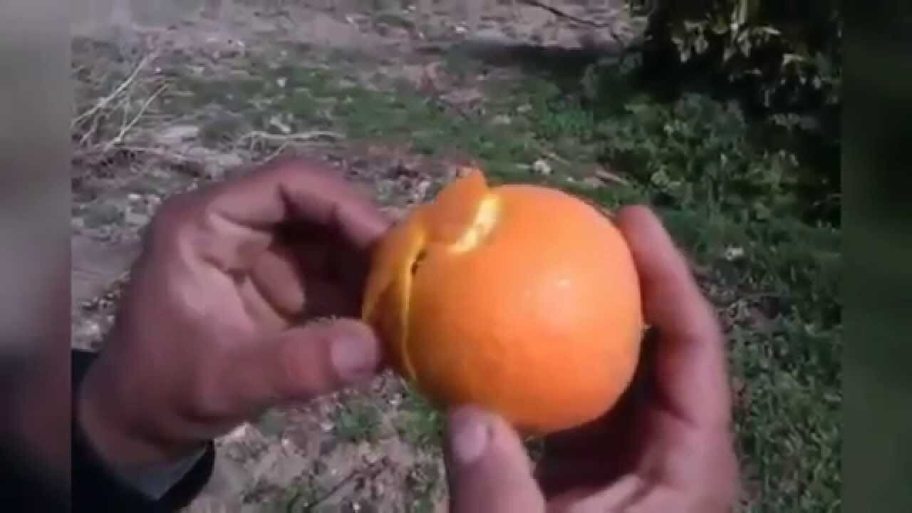 Каждый по своему чистит апельсин