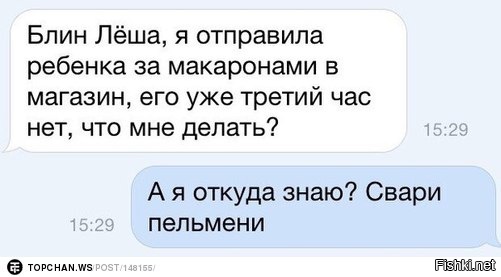 Из солянки