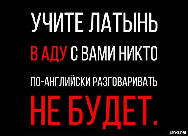 Из солянки