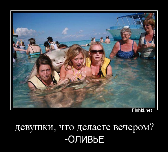 девушки, что делаете вечером?