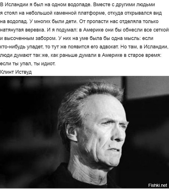 Из солянки