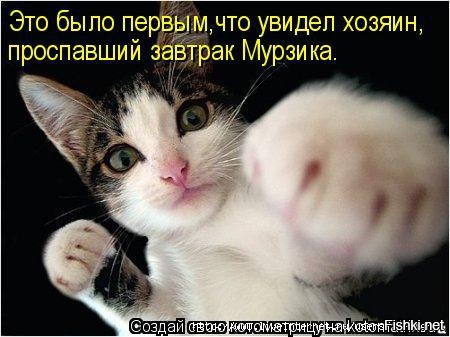 Из солянки