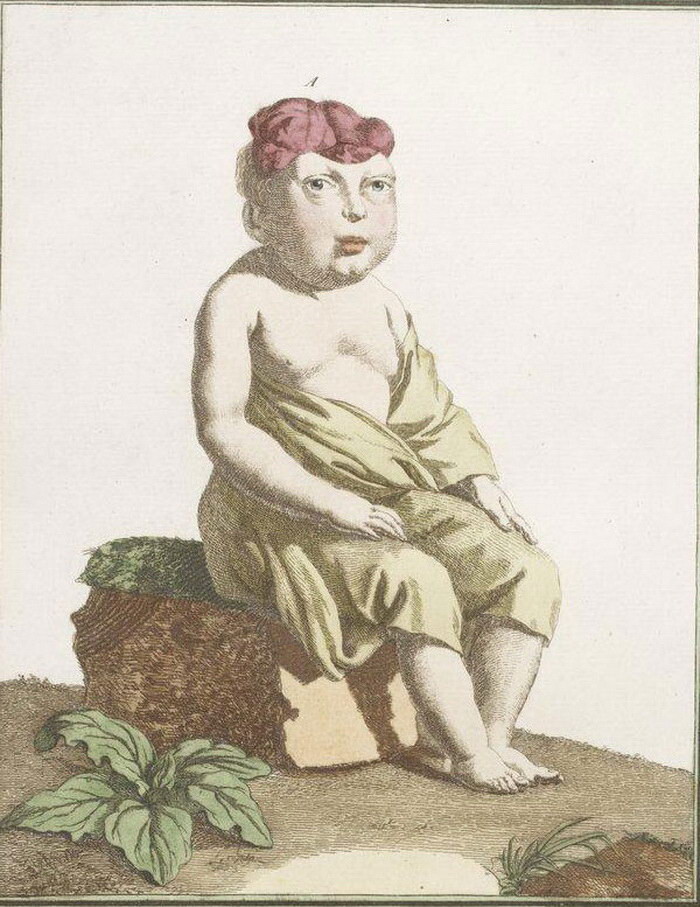 Рисунки из&nbsp;книги монстров XVIII века